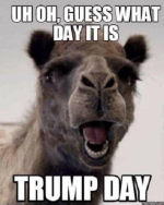 1753272776206.png
