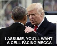 1753272843567.png