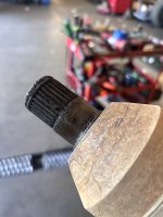 IMG_3756.jpeg