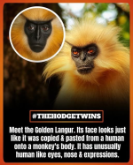 1783948417037.png