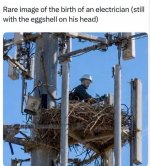 747054632_122248576112352859_5658649612790743463_n.jpg