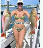 1784119621981.png