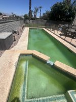 IMG_7846.jpeg