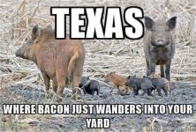 TX Bacon.jpg