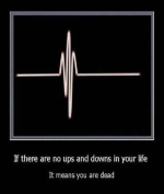 Ups N Downs.png