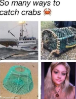 Catch Crabs.png