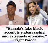 Kamala Fake Accent.jpg