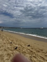 IMG_9335.jpeg IMG_9335.jpeg