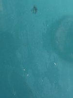 IMG_9369.jpeg IMG_9369.jpeg