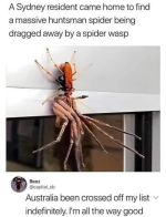 1729258019247.png 1729258019247.png