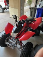 IMG_6518.jpeg IMG_6518.jpeg