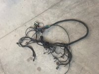 harness 1.jpg harness 1.jpg