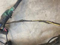 harness 2.jpg harness 2.jpg
