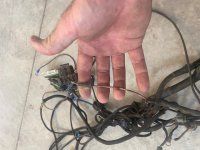 harness 3.jpg harness 3.jpg