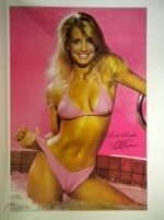 heather-thomas-bikini-swimsuit-poster_1_d6640ebe4ce7fc707c46af9edd9413a6.jpg