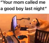 1746093645685.png