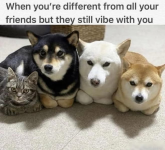 1746454655944.png