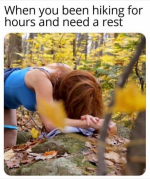 1746474341179.png