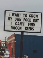 1746548105654.png