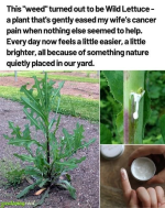 1746549083525.png