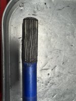 IMG_8668.jpg