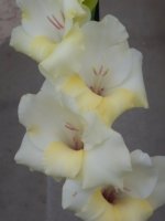 DSCN2038.JPG