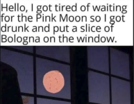 1746875607314.png