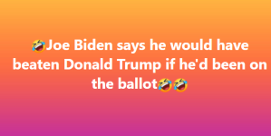 1747055595069.png