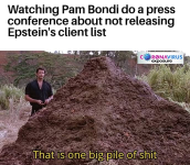 1747058582572.png