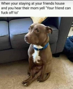 1747060038824.png