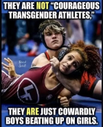 1747060463807.png