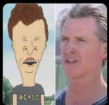 1747172788539.png