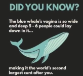 1747176915862.png