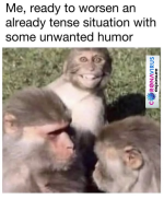 1747227151249.png