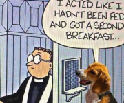 1747230034295.png