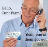1747238412217.png