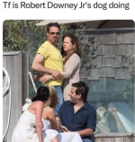 1747239552002.png
