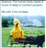1747261921695.png