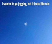 1747323121358.png
