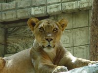 DSC00113.JPG