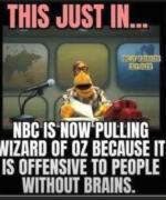 1747588270211.png