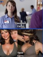 carry_31ccccd2b1053a84b395c11200a305f89dcc19fa.jpg