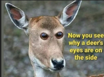 1747844722691.png