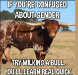 1747907996488.png