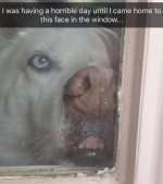 1747919110909.png 1747919110909.png