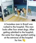 1747920649844.png