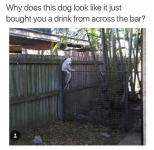 1747942023211.png