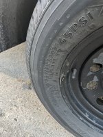 IMG_3756.jpeg