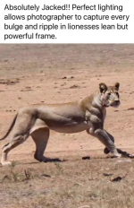 1748009837303.png
