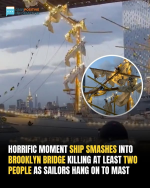 1748009894346.png